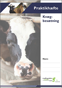 Praktikhæfte - kvægbesætning