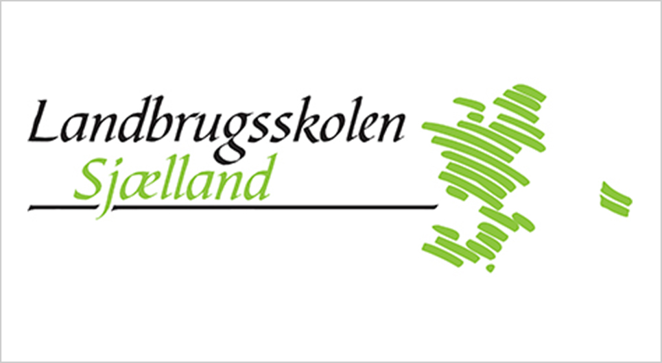 Repræsentantskab og uddannelsesudvalg