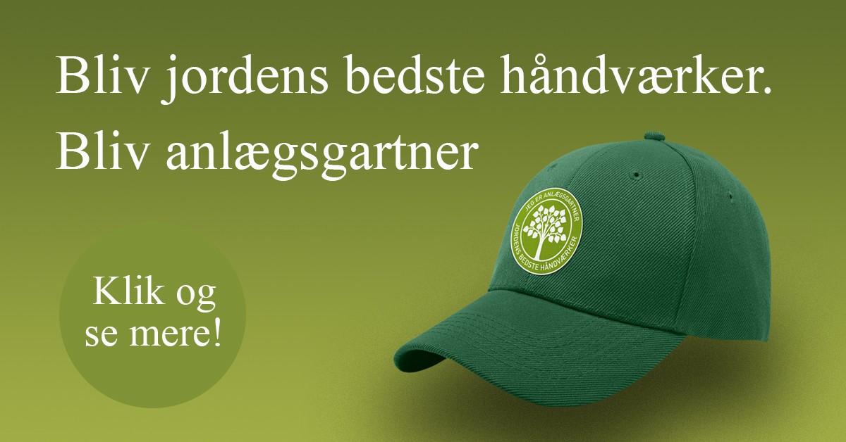 Bliv jordens bedste håndværker