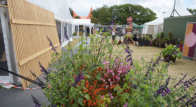 Blomster og planter med flere liv på Roskilde Festival