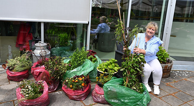 Hvis planter og blomster kunne tale