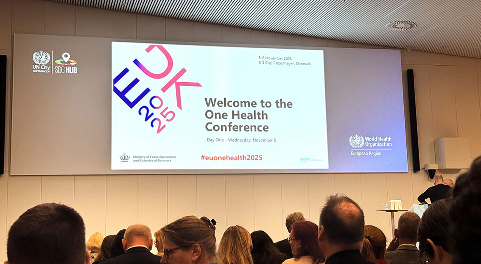 Mediegrafikerelev bag design til konference i FN Byen