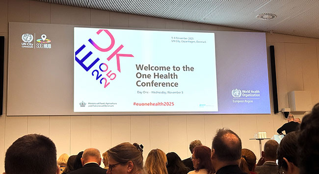 Mediegrafikerelev bag design til konference i FN Byen