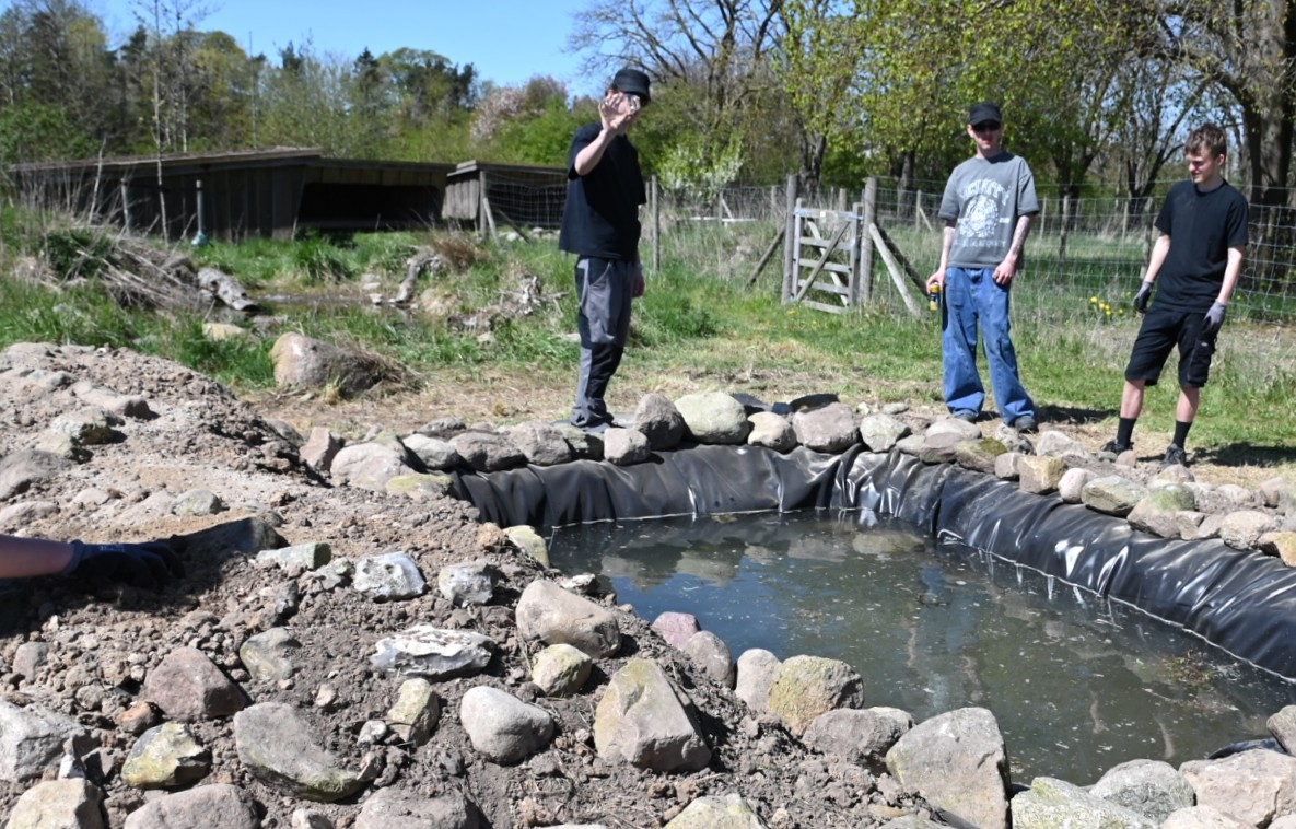 Baeredygtigt Bassin Til Fisk 1