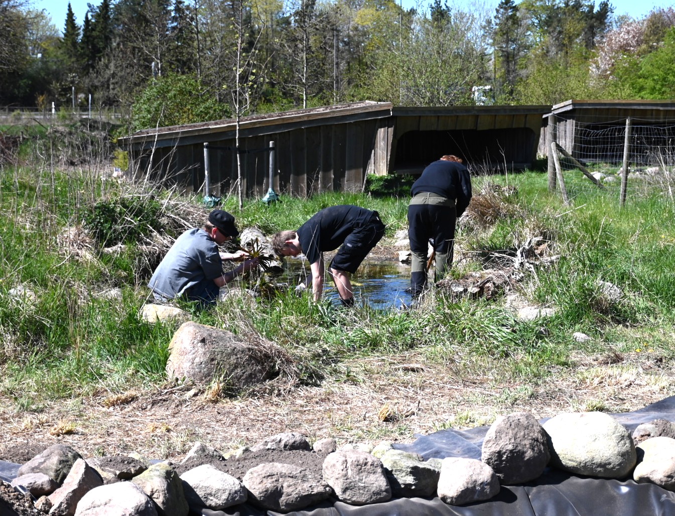 Baeredygtigt Bassin Til Fisk 4