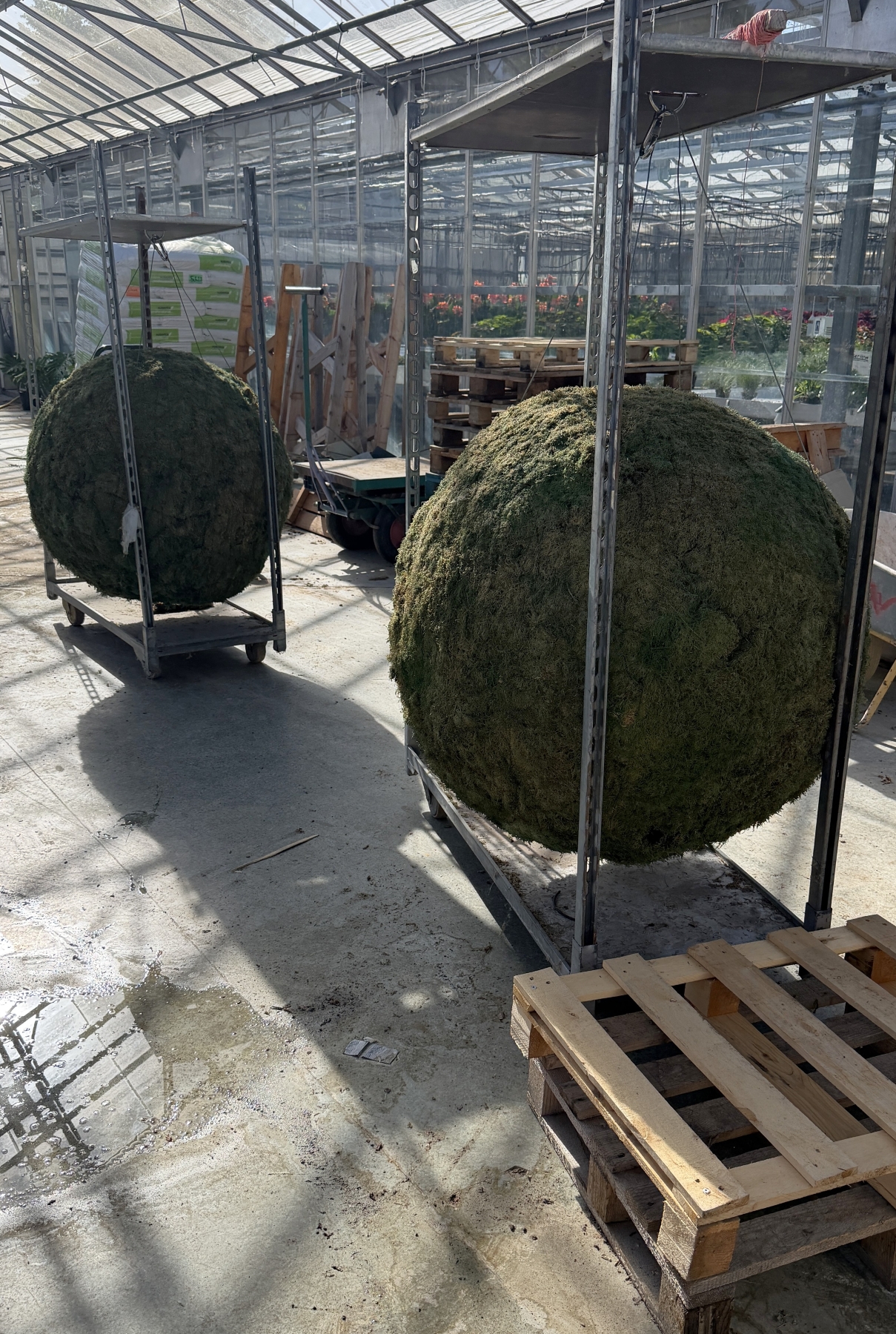 Roskilde Tekniske Skole P Roskilde Festival 2026 6