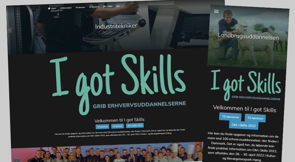 Igotskills