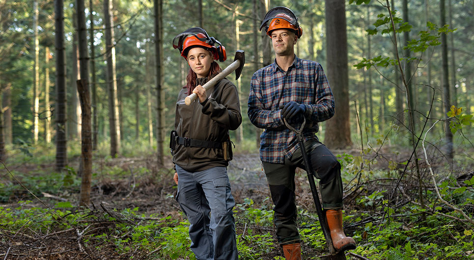 Skov- og naturteknikeruddannelsen 