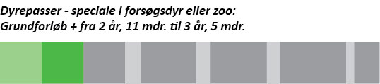 Grafik, der viser forløbet på uddannelsen til dyrepasser - dyrepasser med speciale i forsøgsdyr eller zoo
