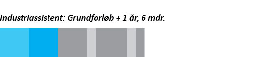 Grafik, der viser forløbet på trinnet industriassistent på industriteknikeruddannelsen