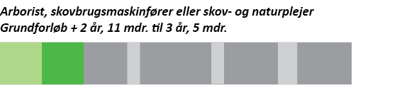 Grafik, der viser forløbet på specialerne skov- og naturplejer, natur- og friluftsformidler og biotop- og vildtplejer på uddannelsen til skov- og naturtekniker