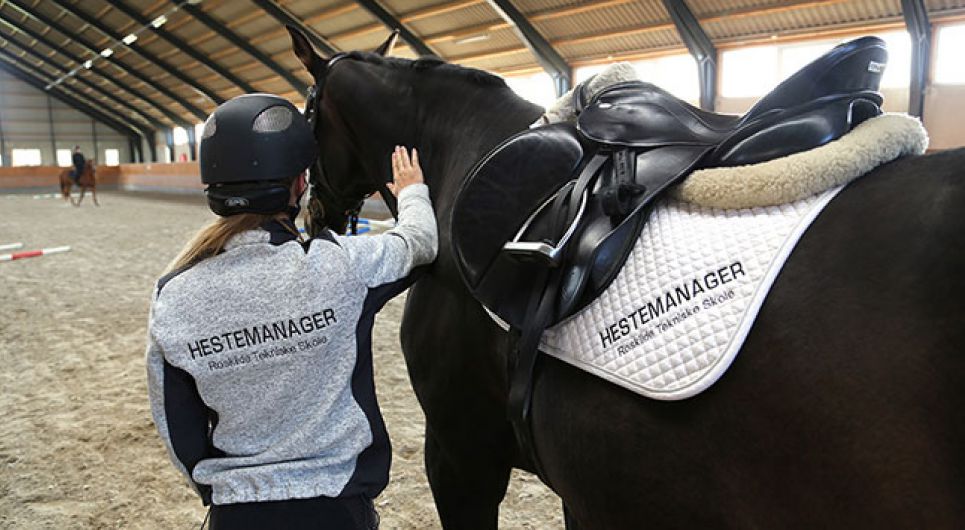 Hestemanager med eux