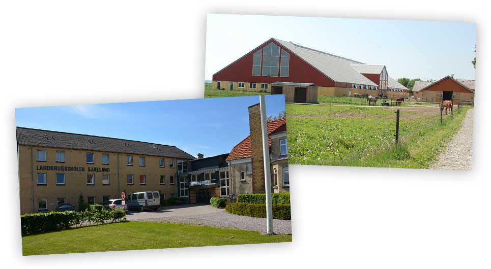 Oplev skolen - besøg Landbrugsskolen Sjællands afdelinger i Høng og Roskilde